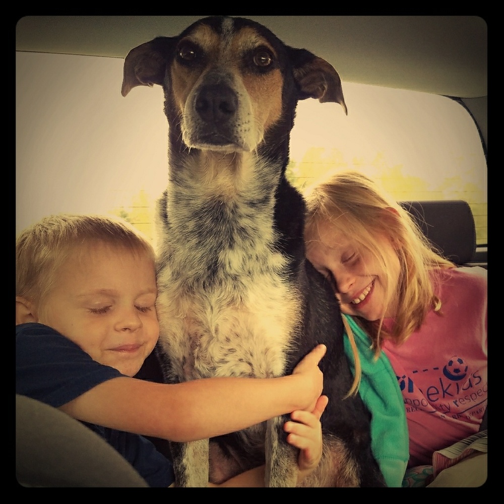 Meet your Posher, Veronica